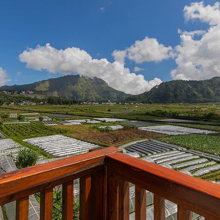Teras Sawah Guest House Syariah Sembalunlawang Exterior foto